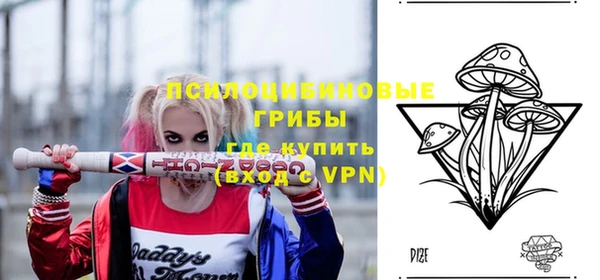 герыч Дмитров