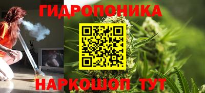 мяу мяу мука Кингисепп