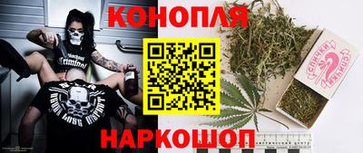 мяу мяу мука Кингисепп