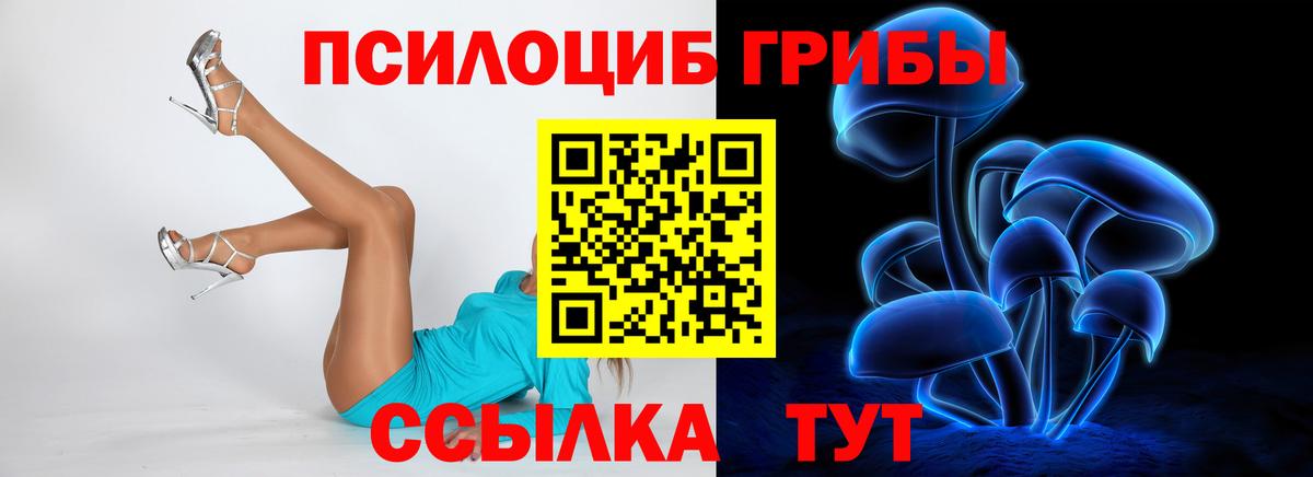 Галлюциногенные грибы Cubensis  Вход с VPN  закладка  Шуя 