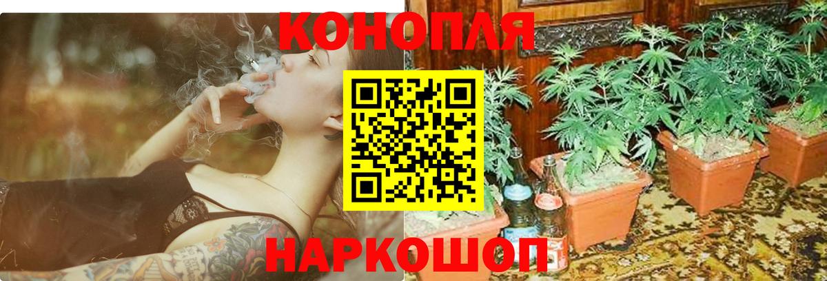 Шуя  Марихуана SATIVA & INDICA  Бошки Шишки планчик  Вход с VPN 